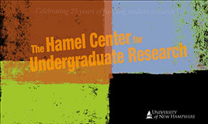 Hamel Center Undergraduate Research - Flash presentation