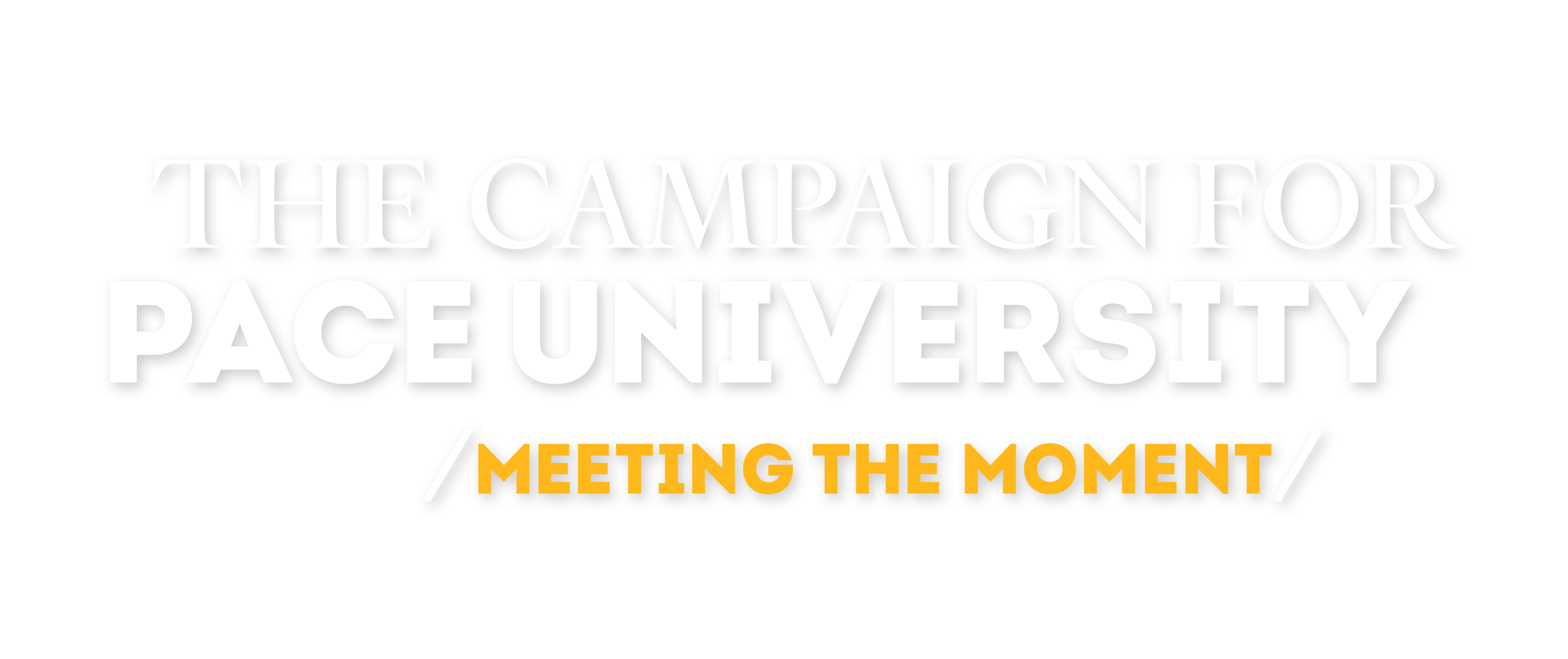 The Campaign for Pace University logo