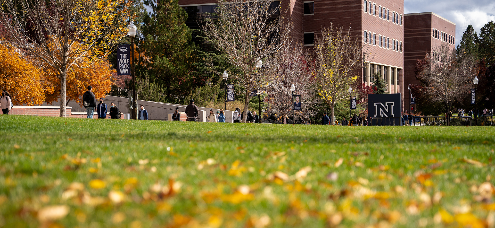 Campus in the fall